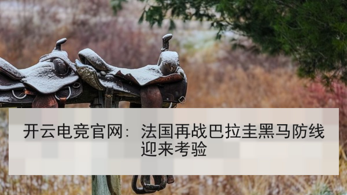 开云电竞官网: 法国再战巴拉圭黑马防线迎来考验