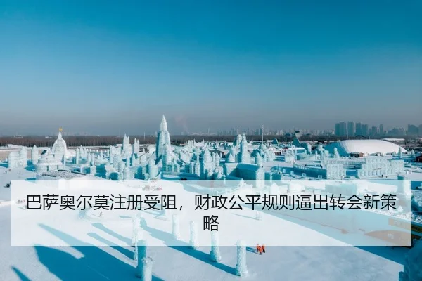 ba-sa-ao-er-mo-zhu-ce-shou-zu-cai-zheng-gong-ping-gui-ze-bi-chu-zhuan-hui-xin-ce-lve-2-544.jpg