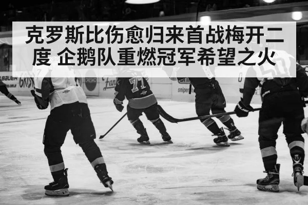 克罗斯比伤愈归来首战梅开二度 企鹅队重燃冠军希望之火