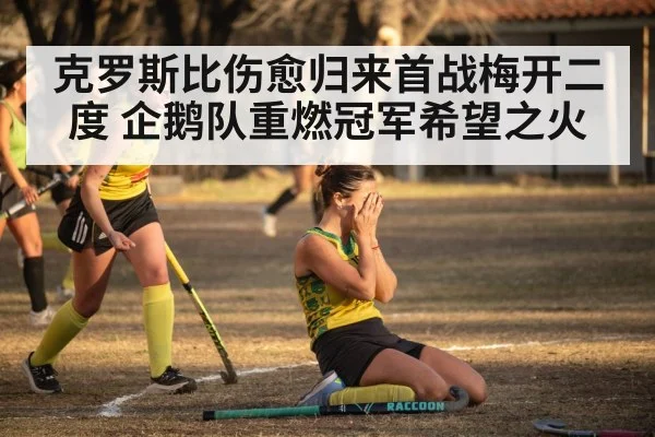 hockey goal celebration